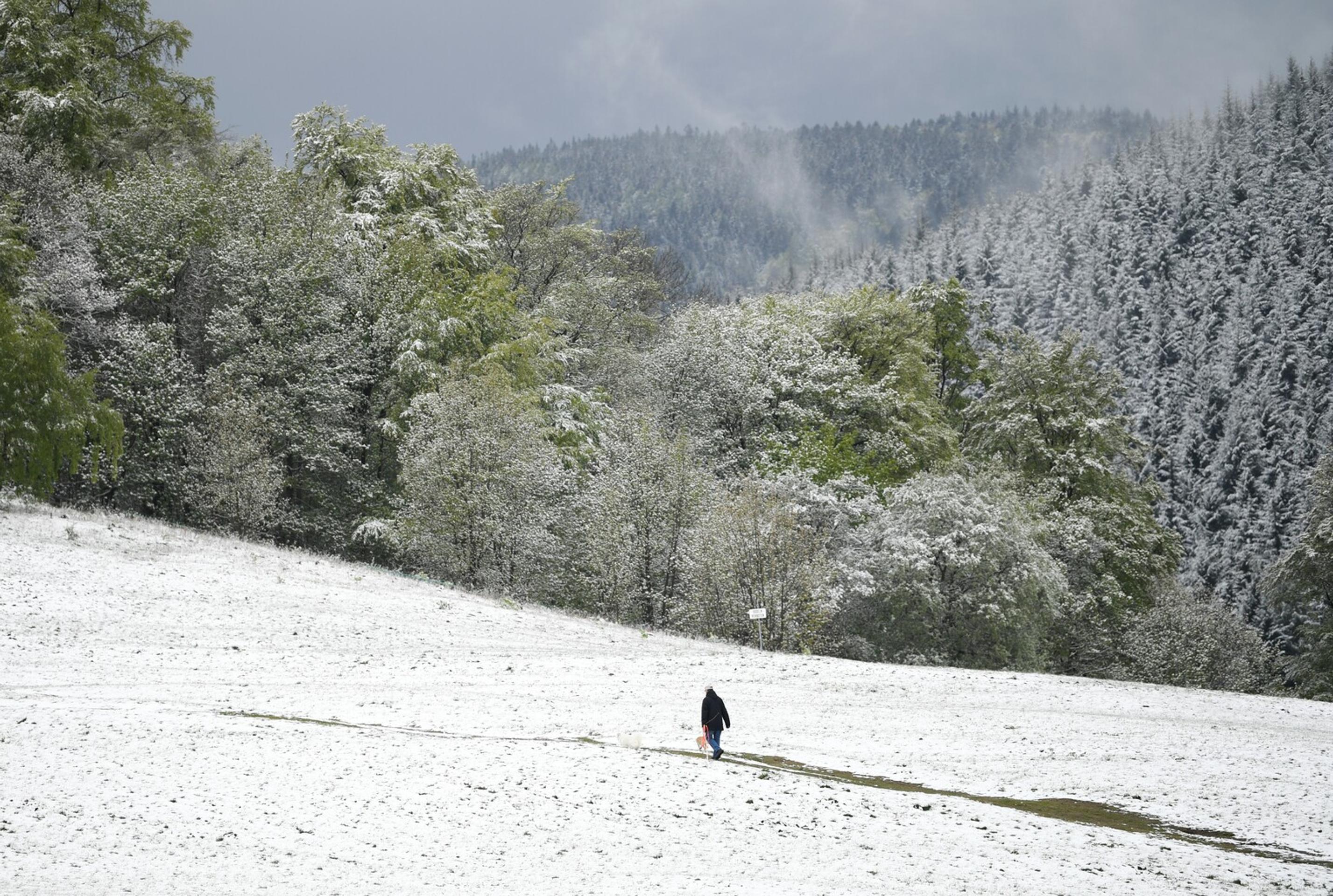 Po náraze do stromu zahynul mladý pár