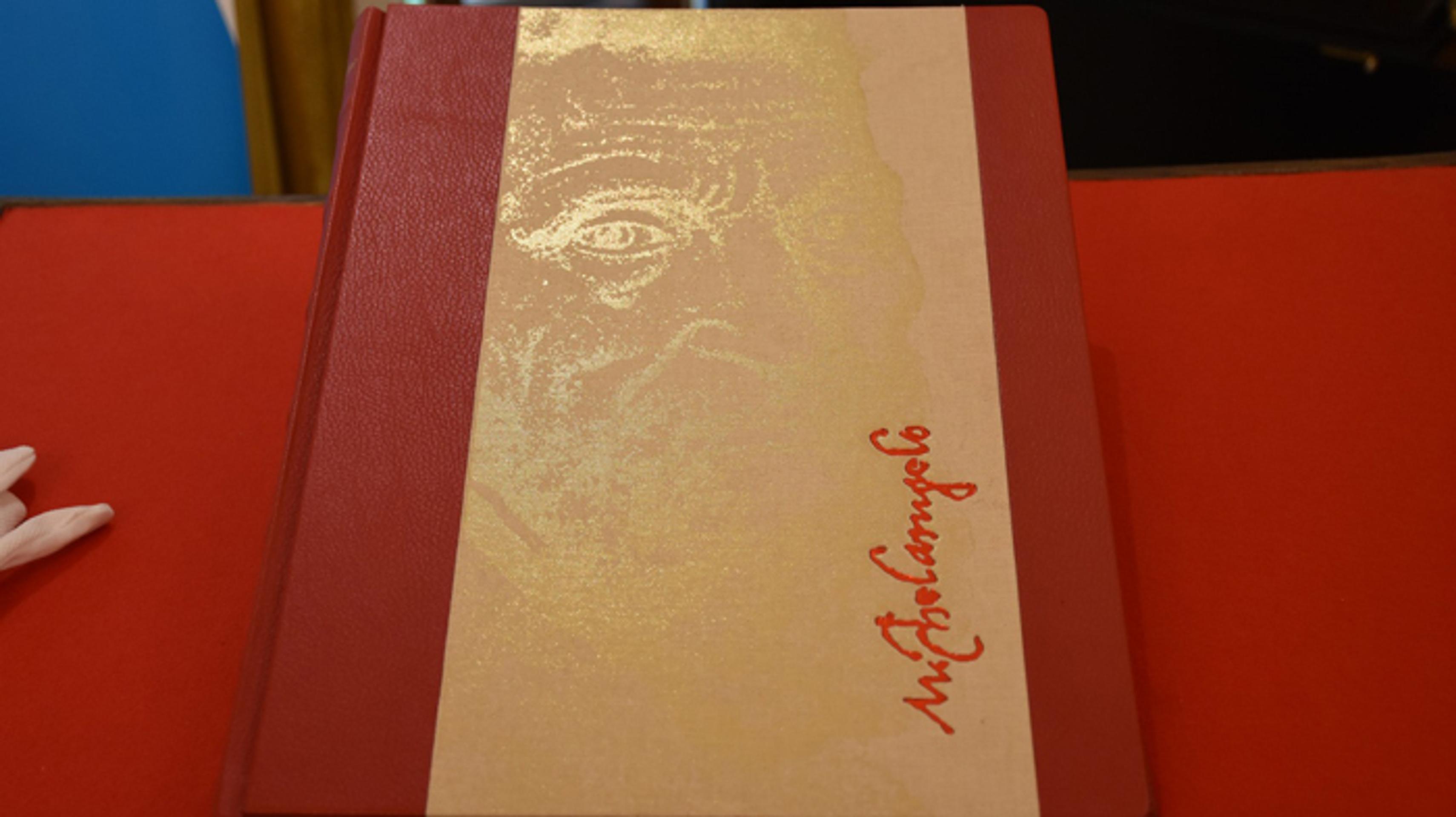 Publikácia Velikán Michelangelo.