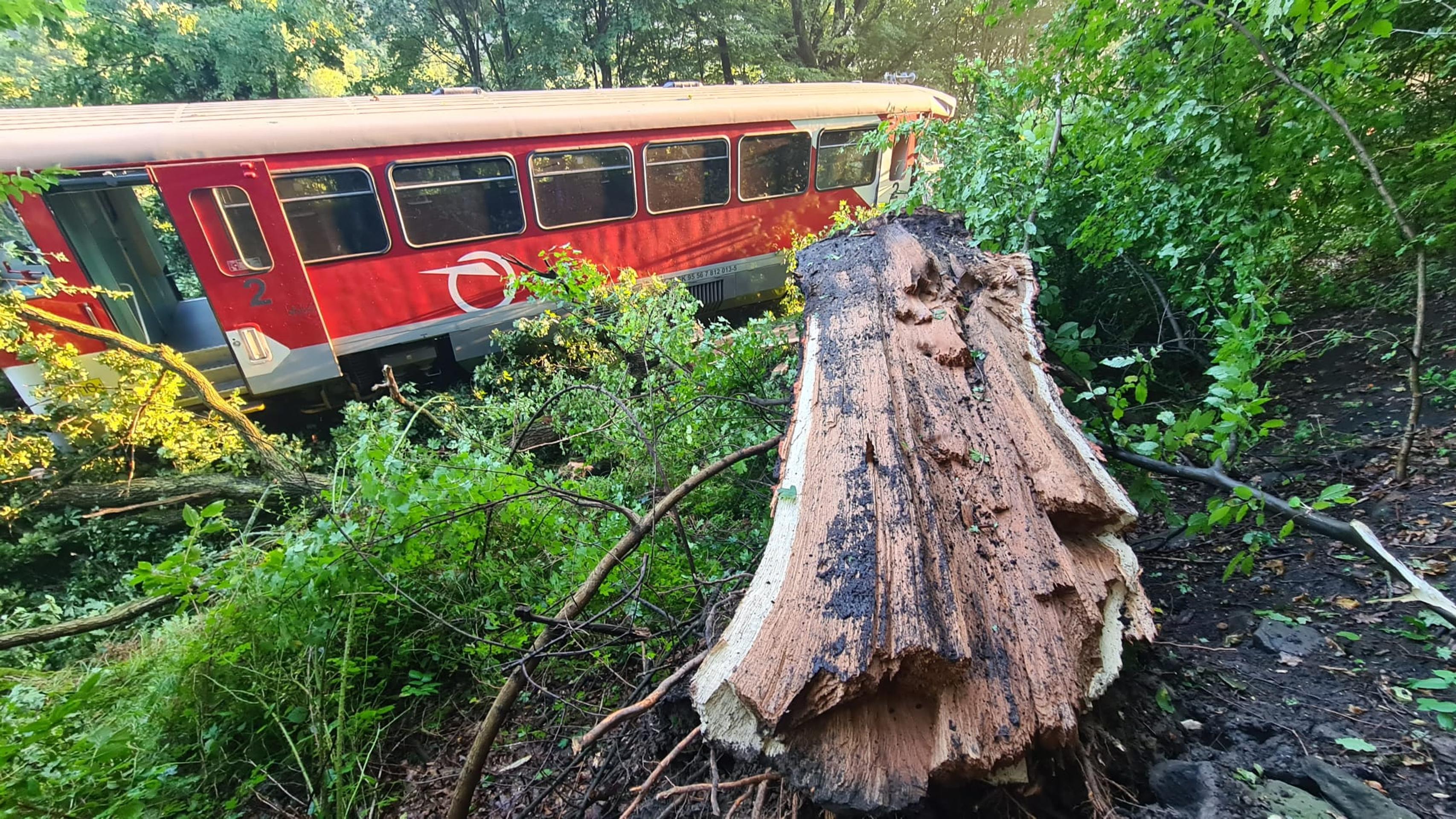 Na vlak spadol strom.