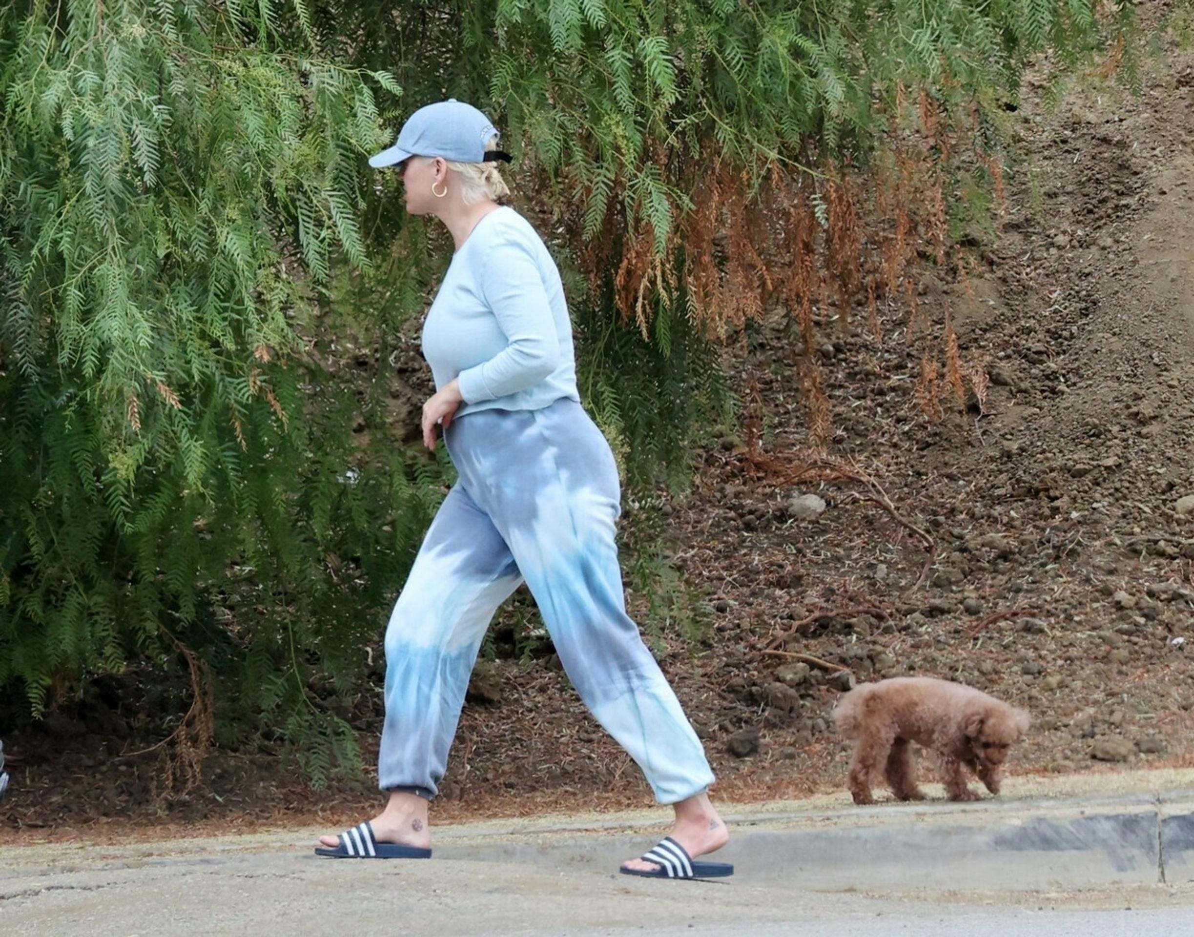 krajci 28 vlada odmeny_tvnoviny.mp4