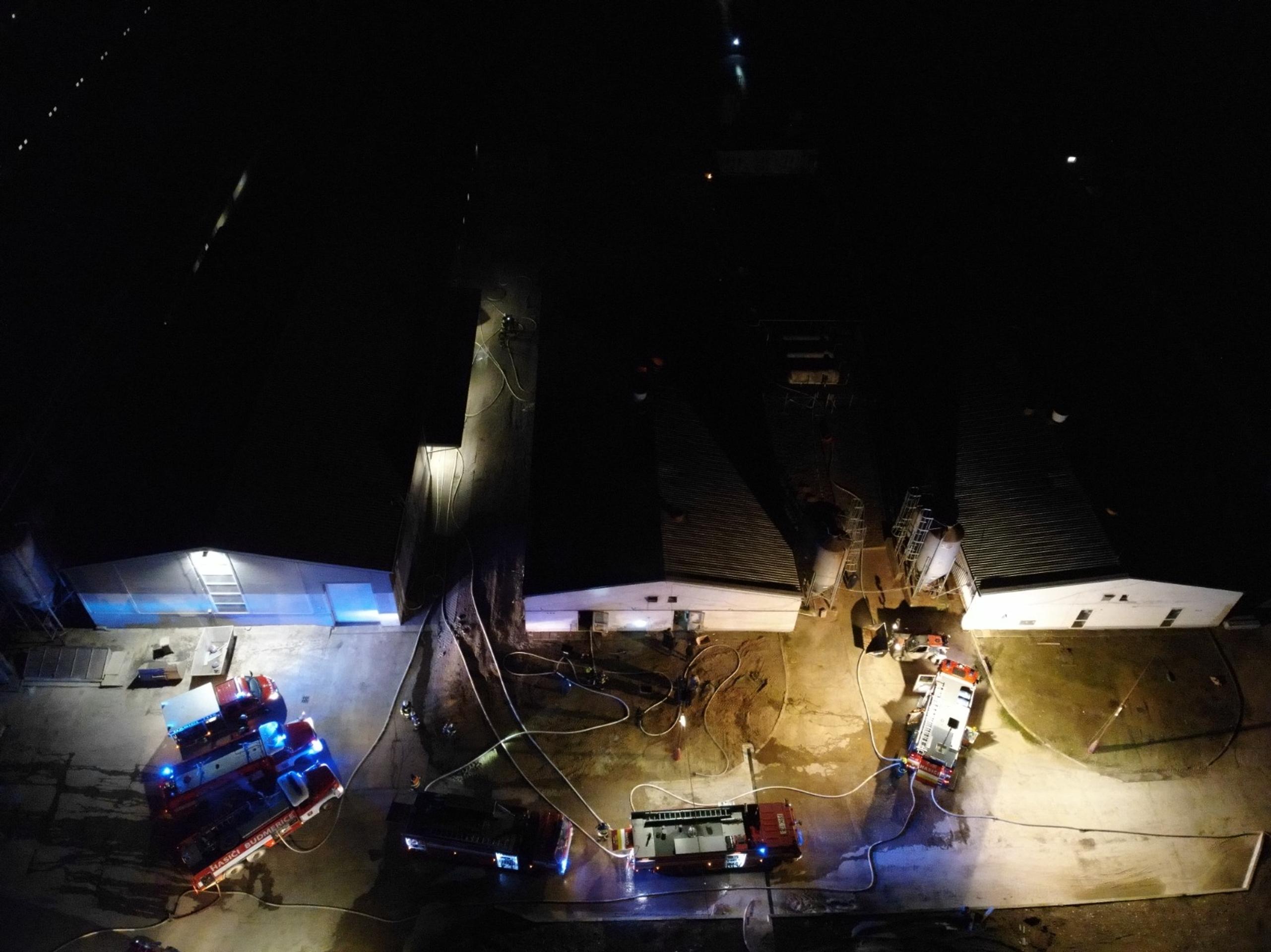 Hasiči vynášali z horiacej haly pri Pezinku stovky prasiatok.