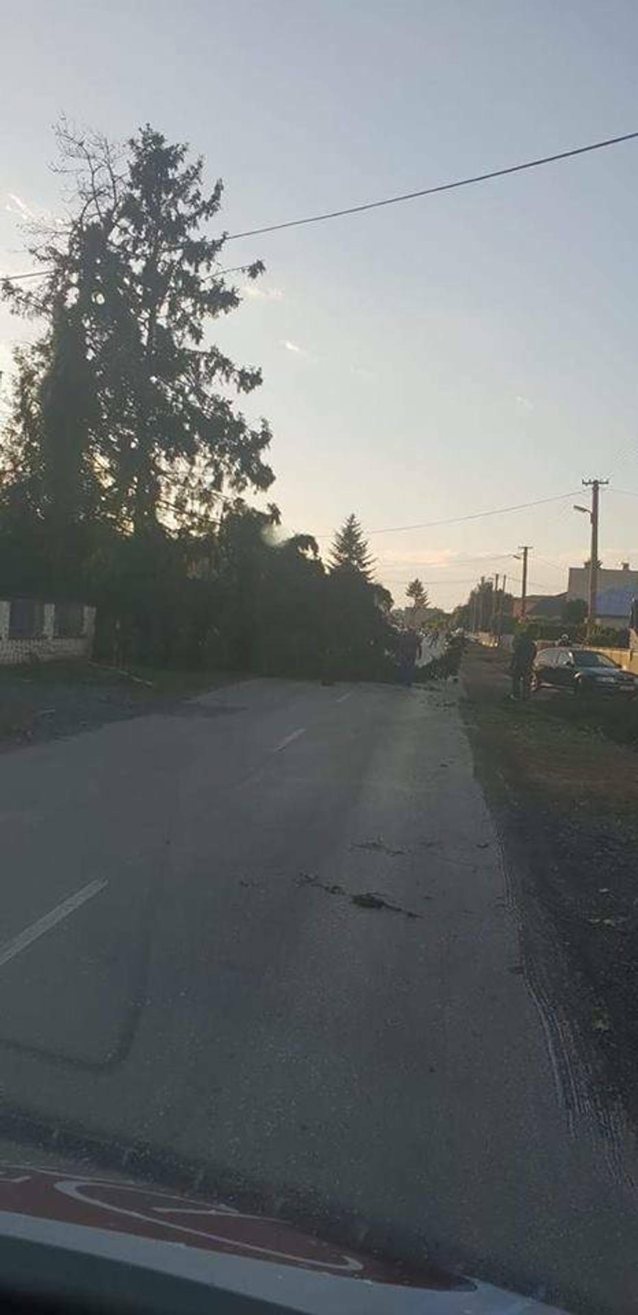 Spadnutý strom po smršti v obci Lekárovce.