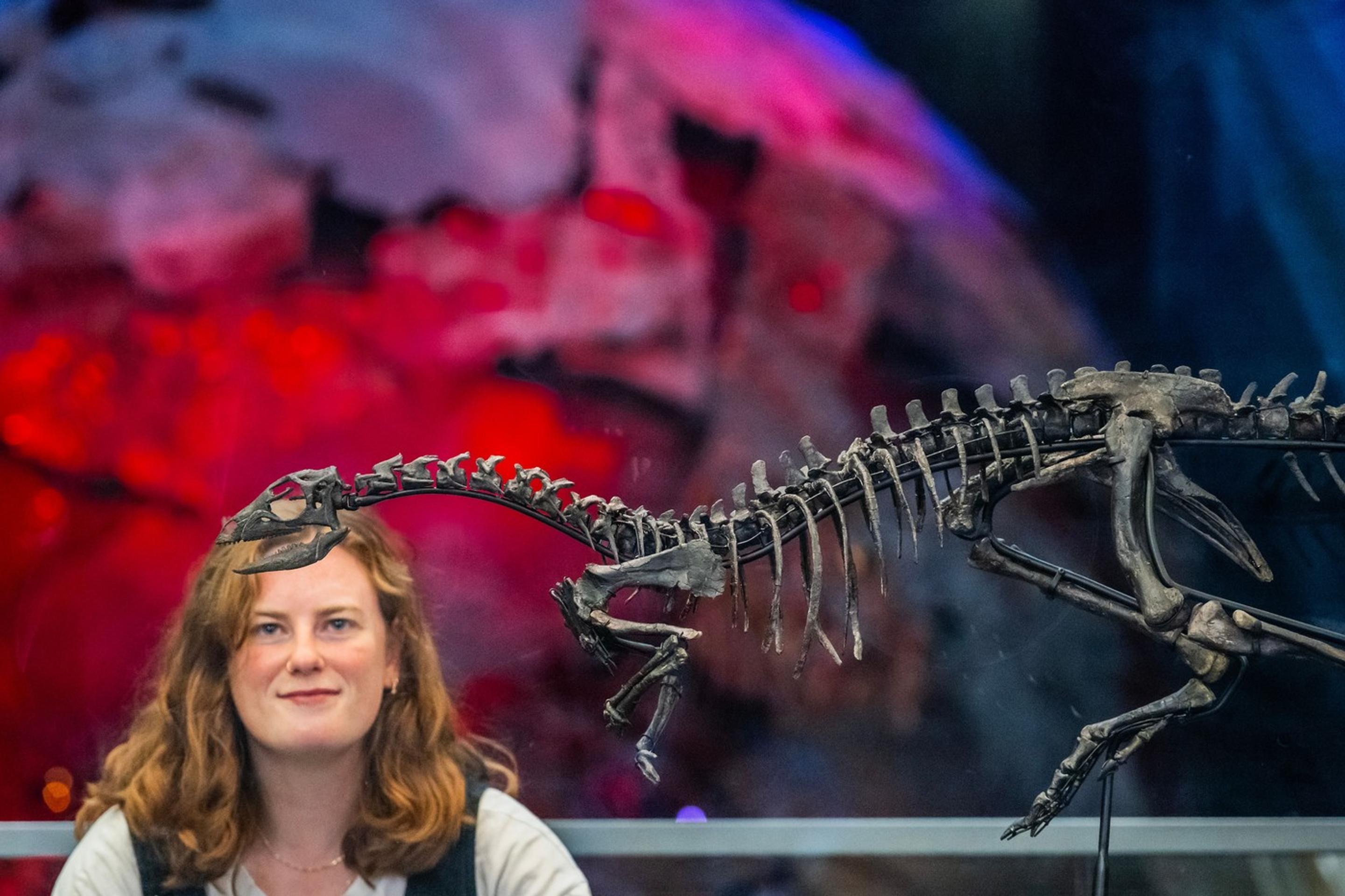 Nový druh dinosaura