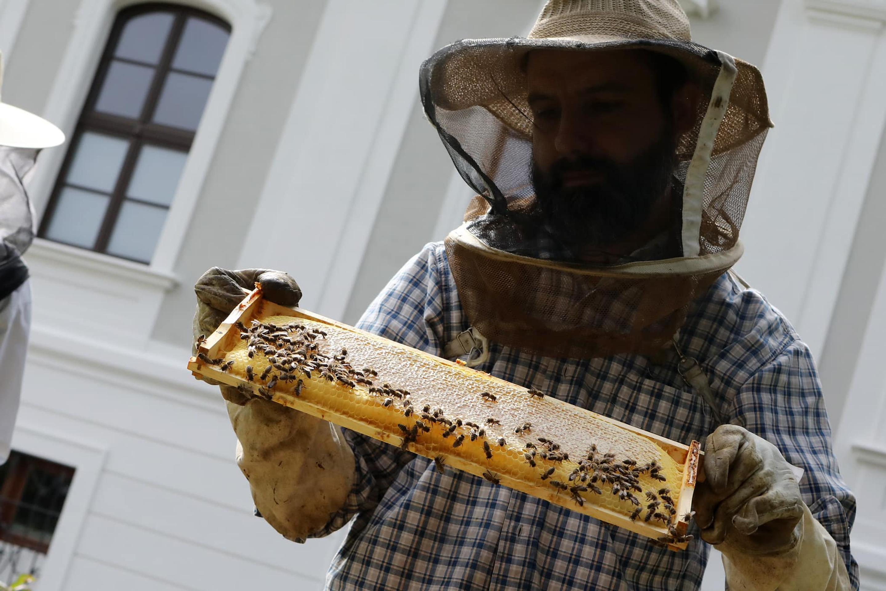 Štyri včelie rodiny v Prezidentskom paláci