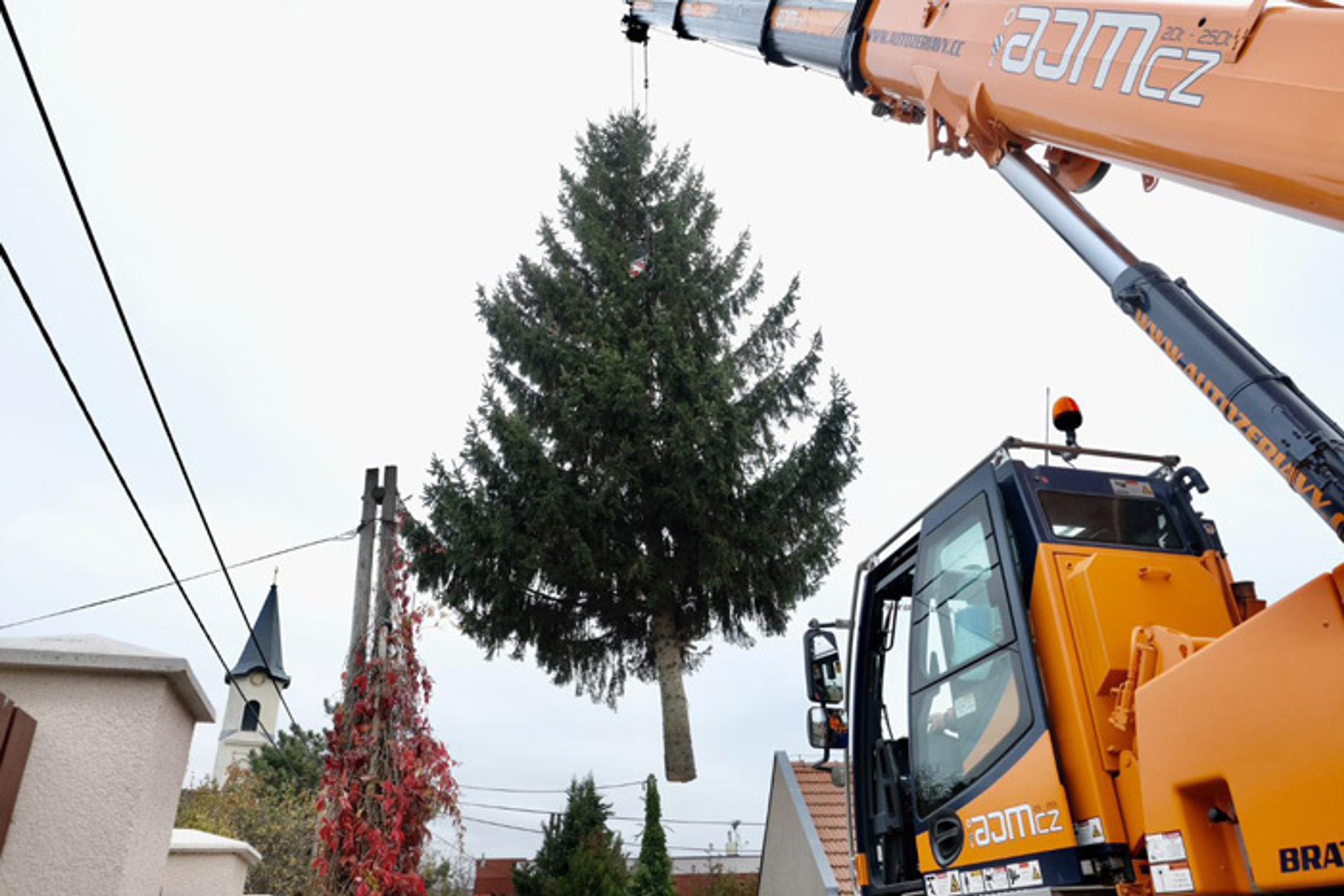 Osádzanie vianočného stromčeka na Hlavnom námestí v Bratislave.