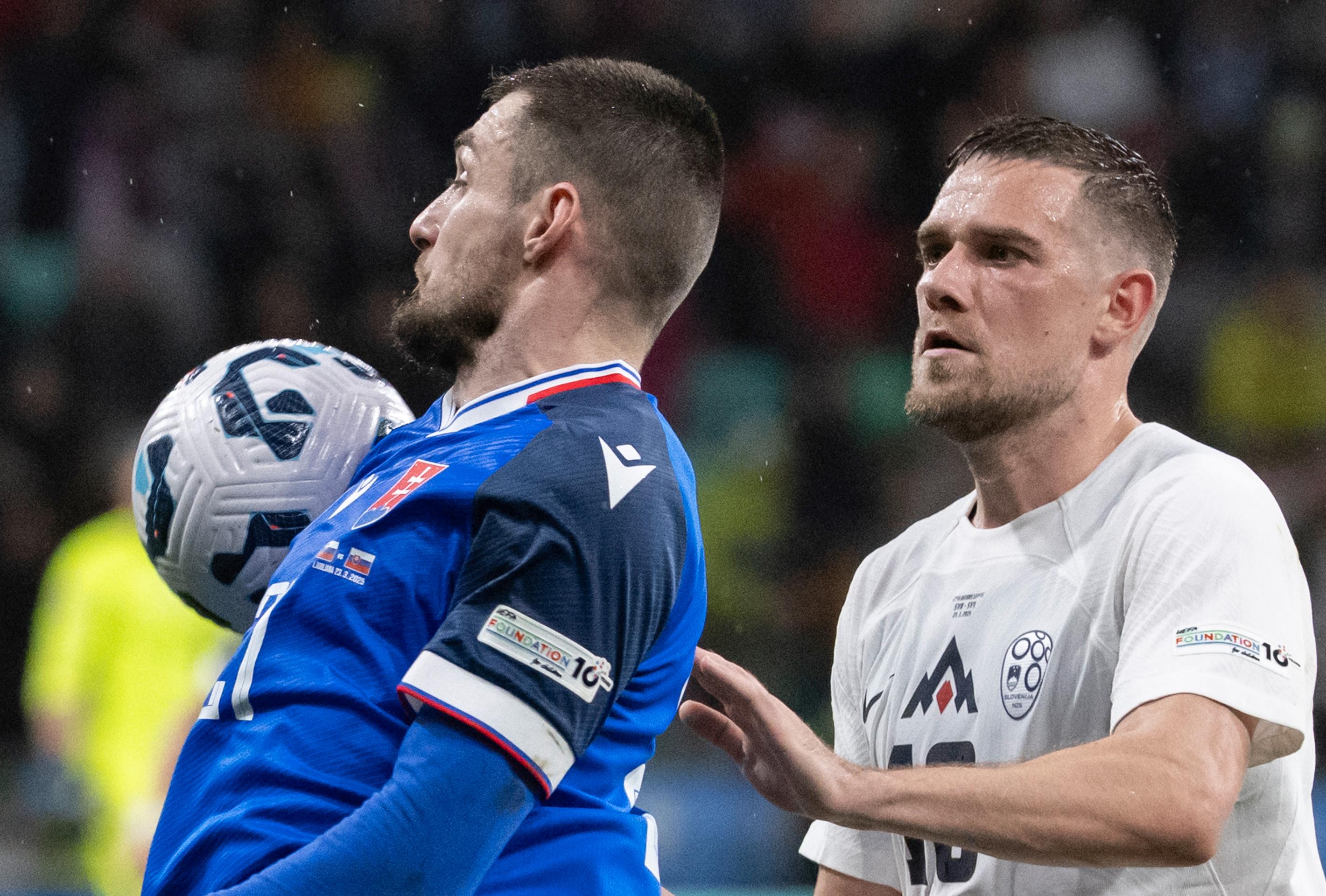 Slovinsko - Slovensko