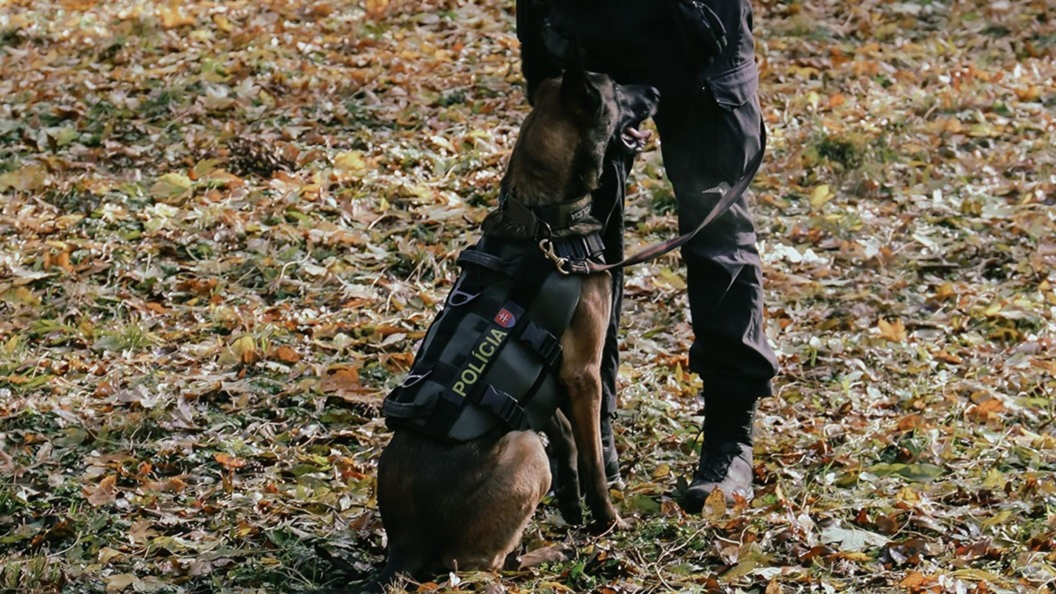Tajomstvá o policajných psoch