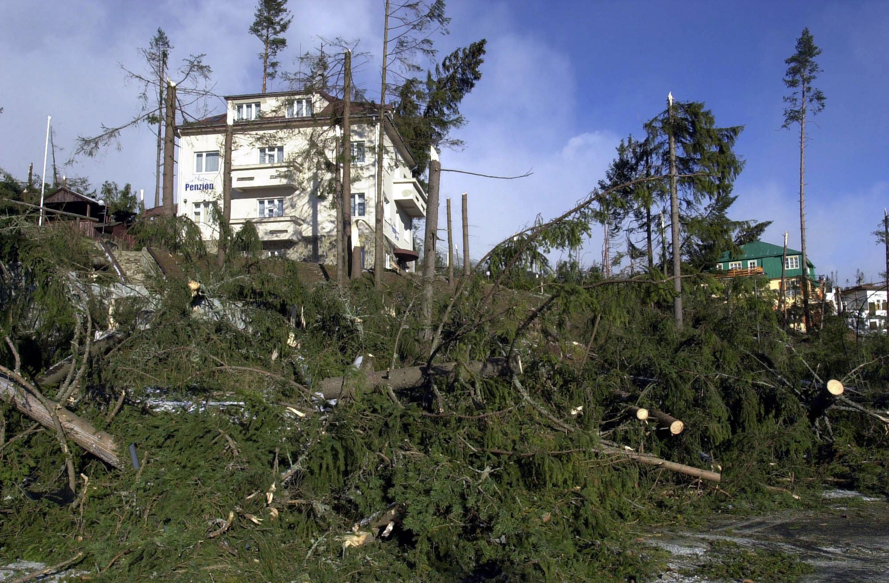 Polámané stromy v Starom Smokovci