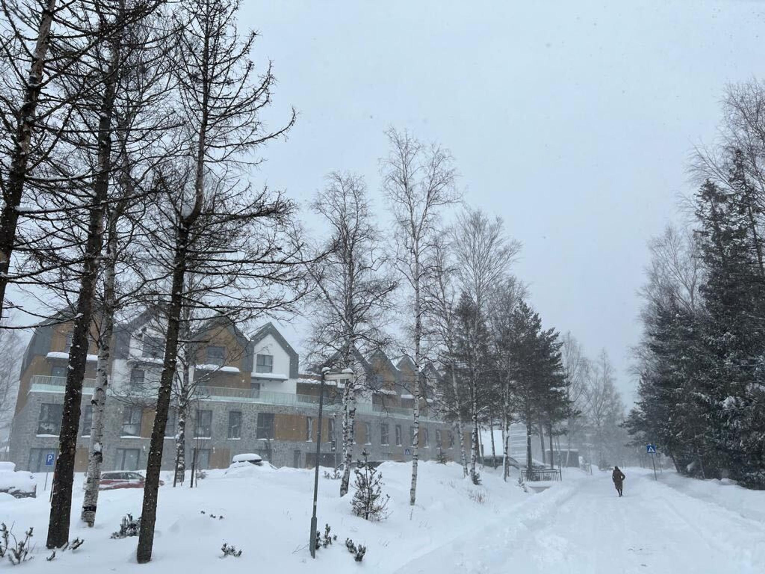 Zasnežená Stará Lesná