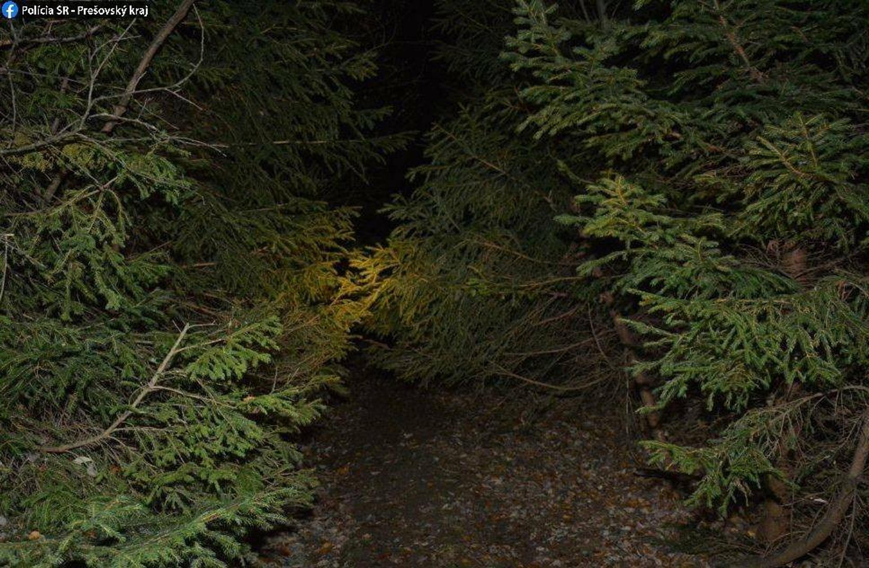 Ostnatný drôt, ktorý v lese zranil motorkára.