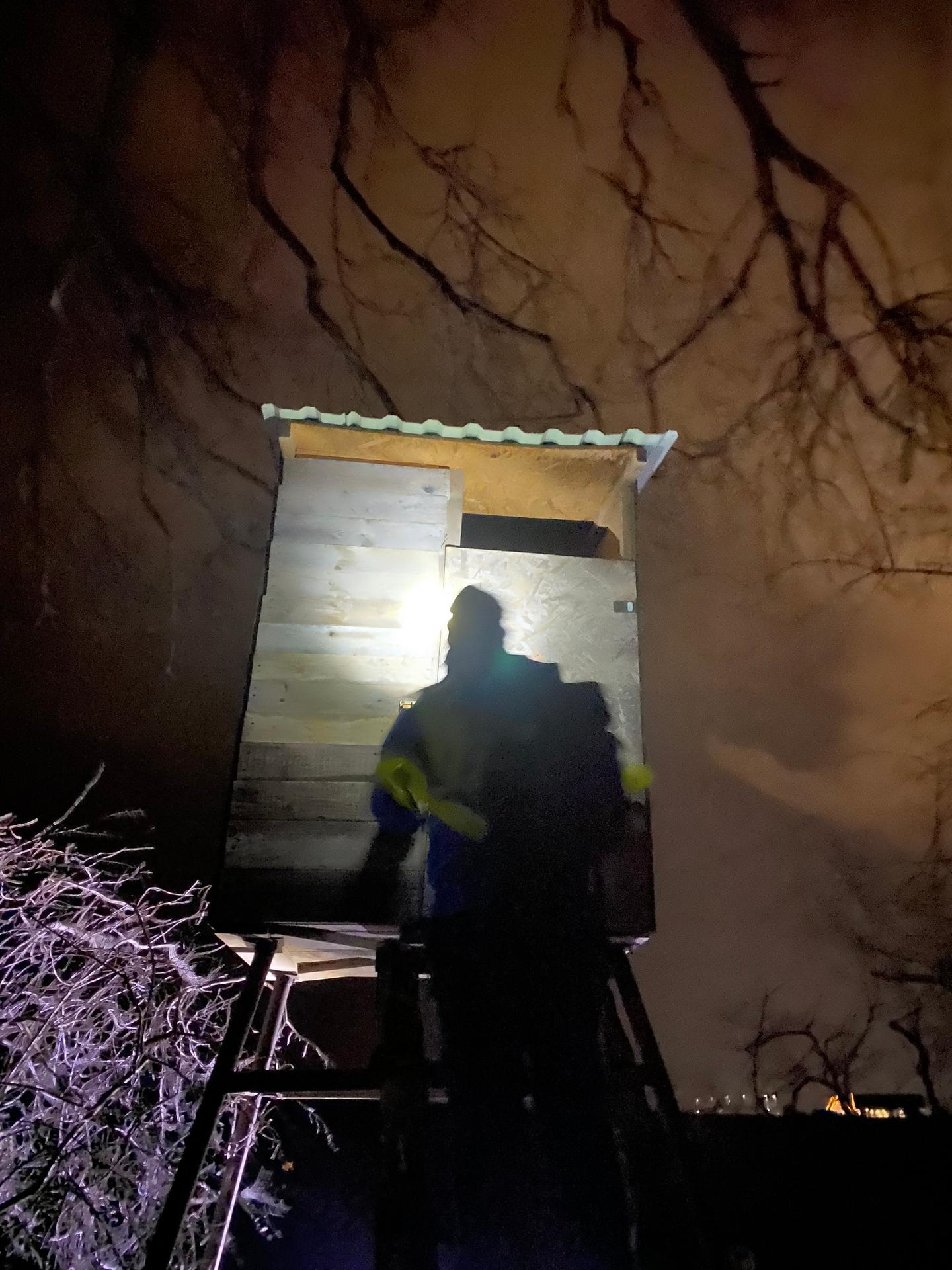 Pátranie po nezvestnej Márii (8. 1.)