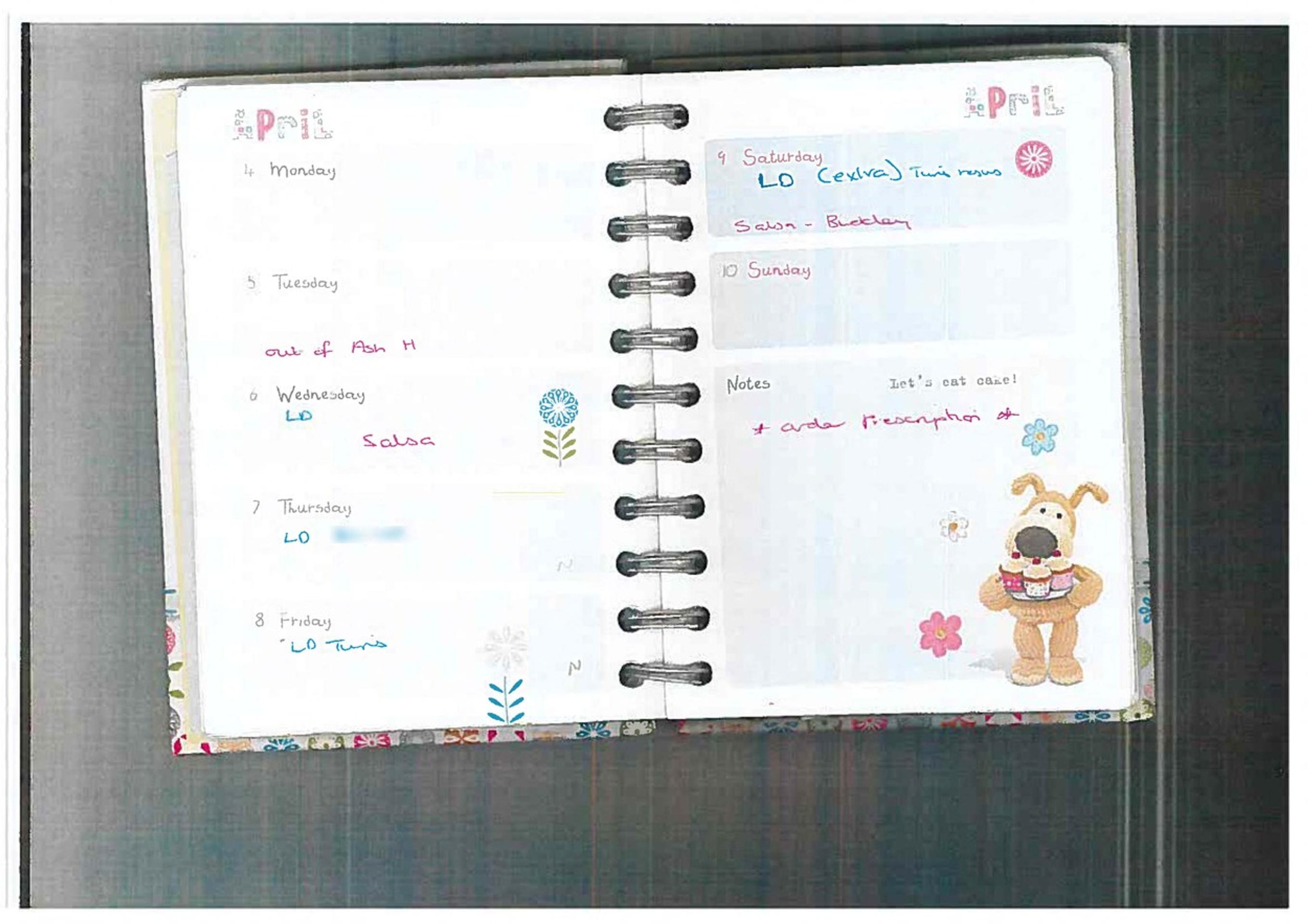 Denník zdravotnej sestry.