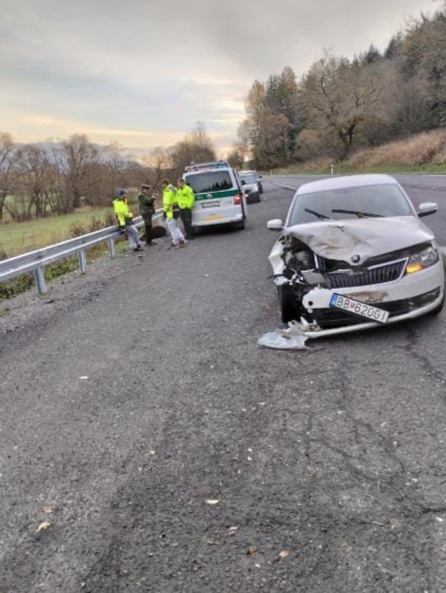 Neďaleko Hybe pod kolesami auta zahynul ďalší medveď