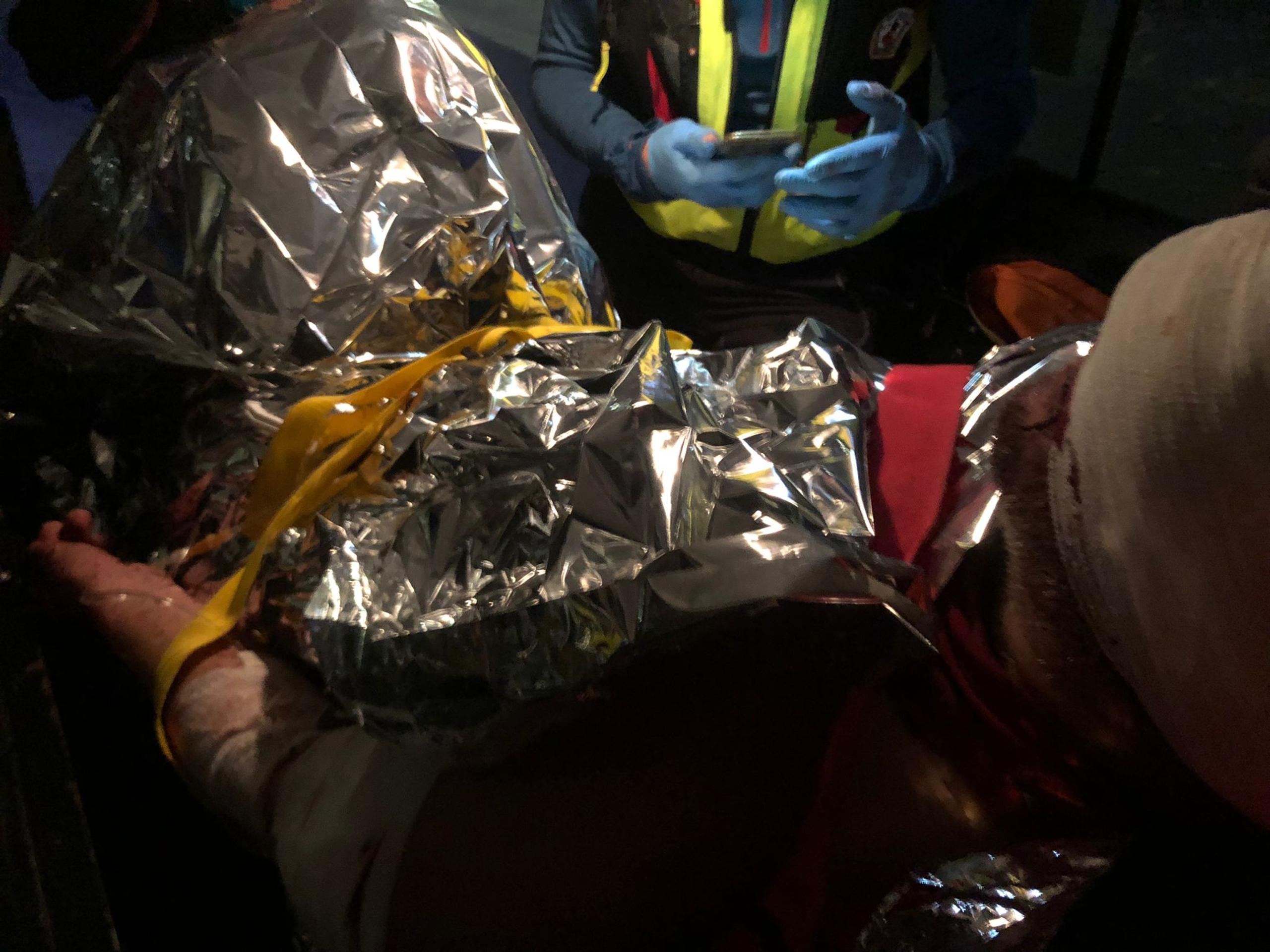 Medveď napadol bežca v Malej Fatre.