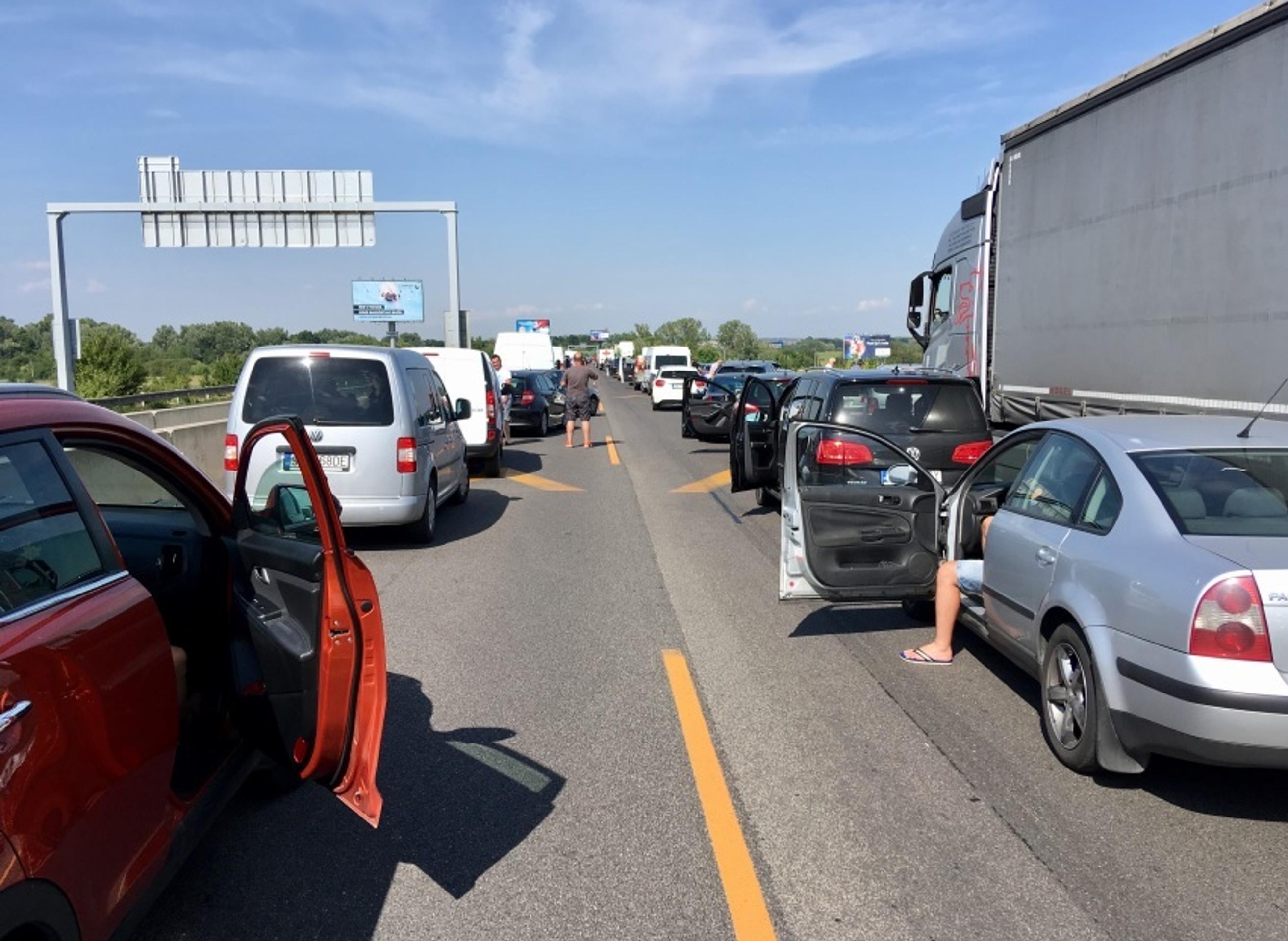 Tvoria sa rozsiahle kolóny.