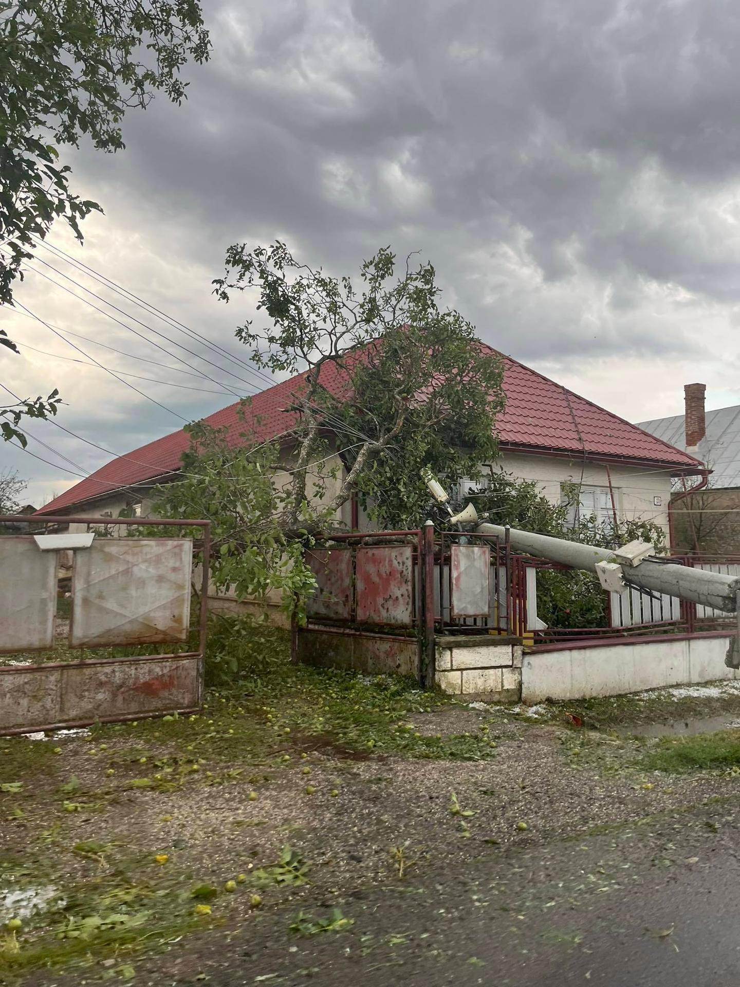 Závadka, následky búrky. 