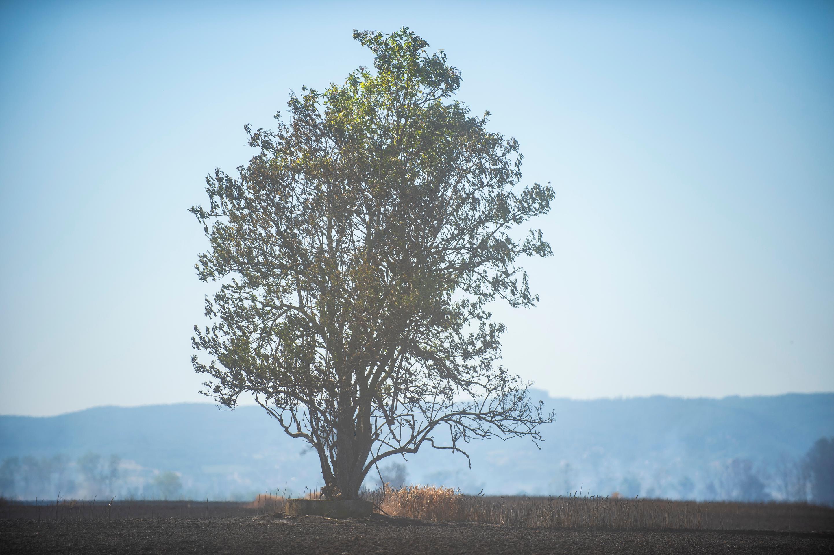 Požiar pri Bratislave
