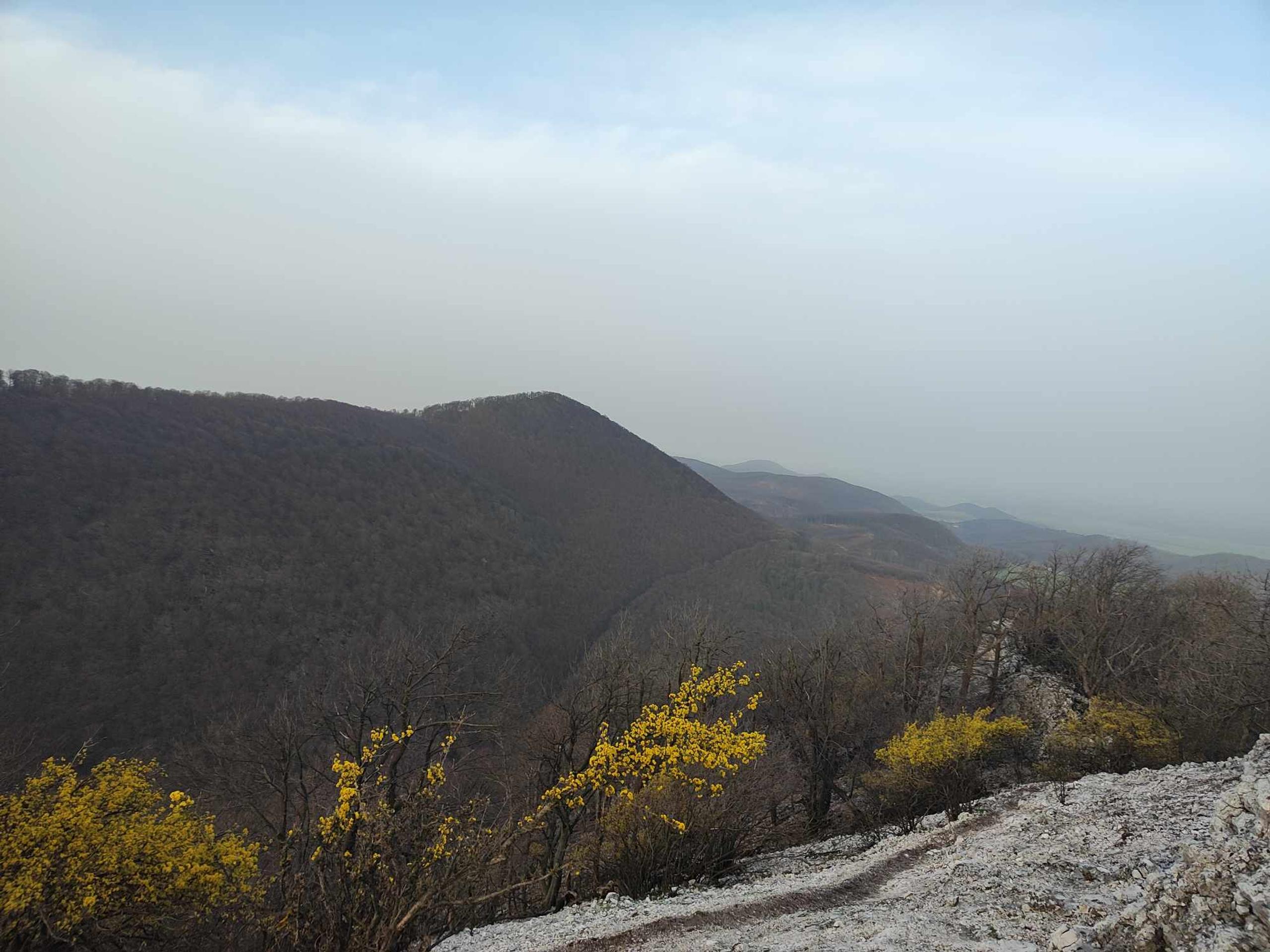 Saharský prach v lokalite Záruby a Ostrý kameň. 