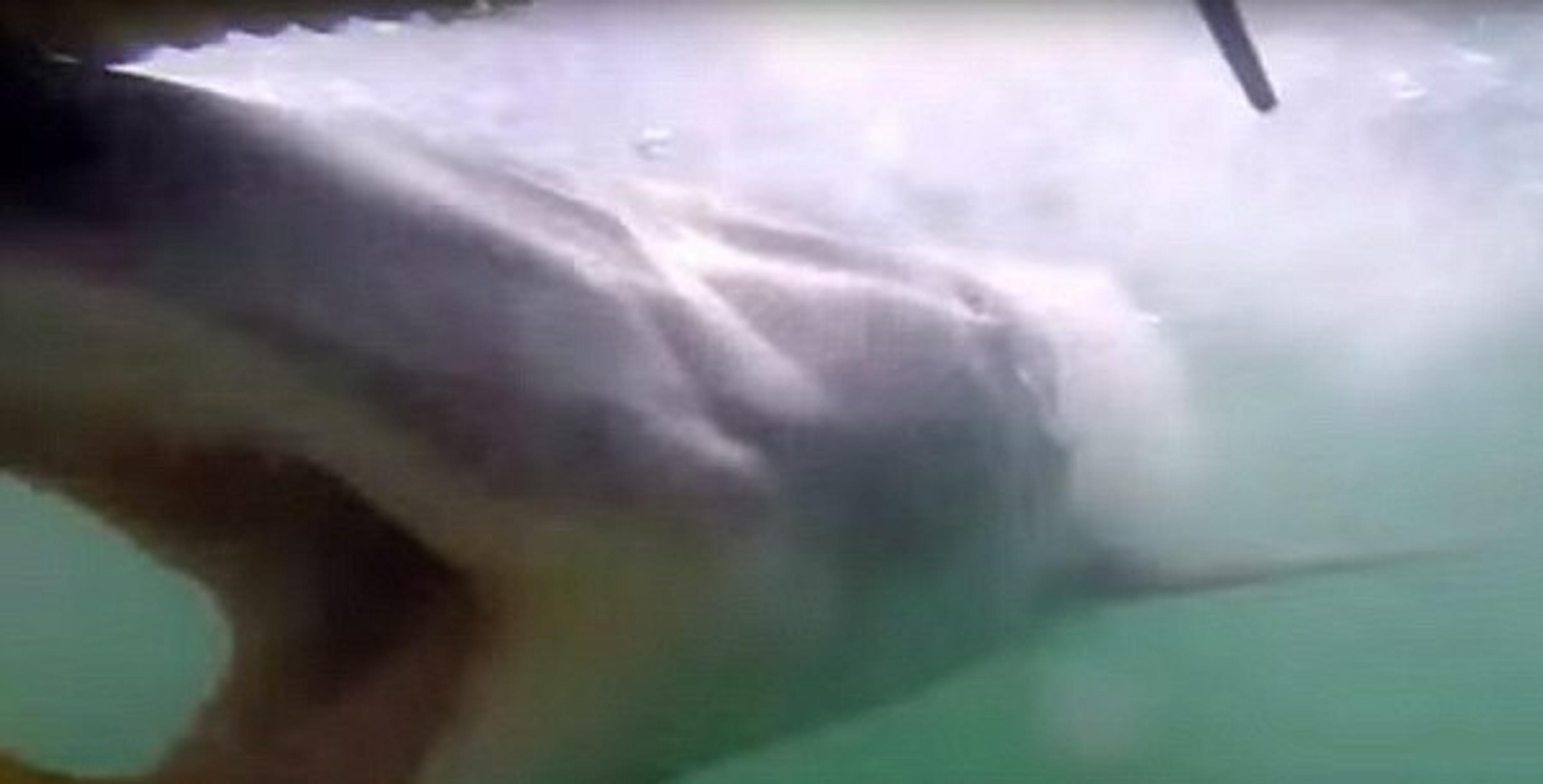 Zážitok, na ktorý tak ľahko nezabudnú. 