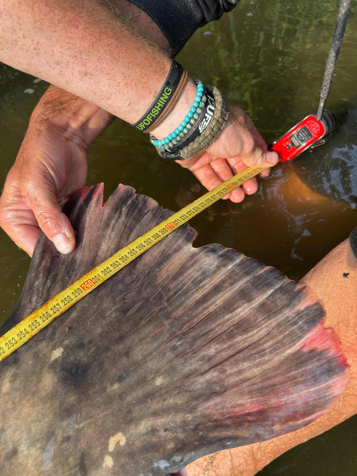 Jakub Vágner chytil rekordného sumca.