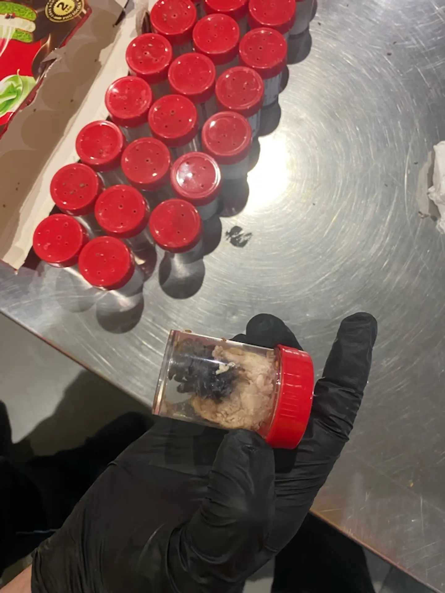 V obaloch od sušienok našli 1500 jedovatých pavúkov