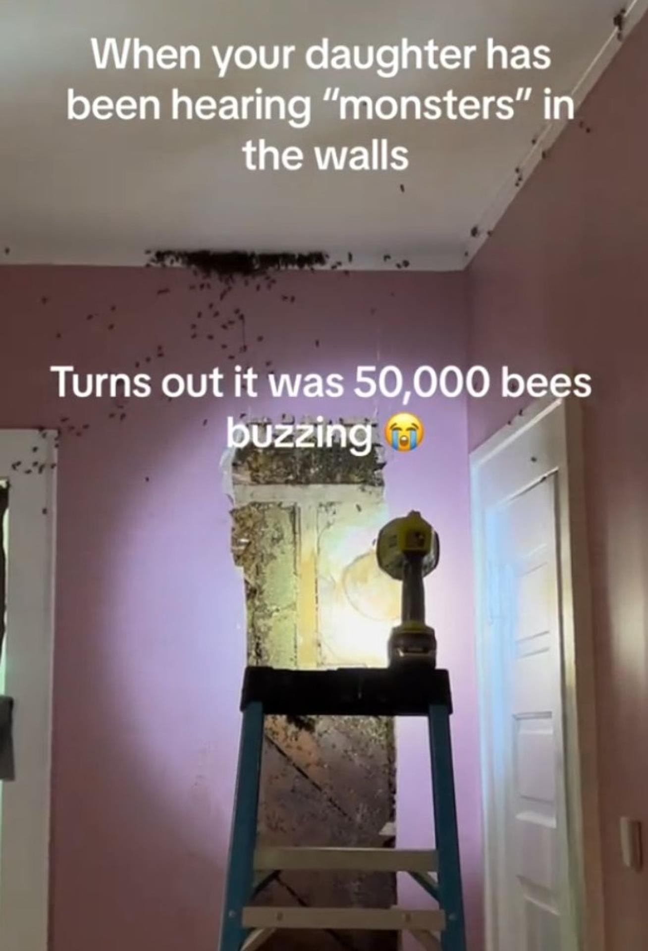 Včely sa usídlili v stene rodinného domu.