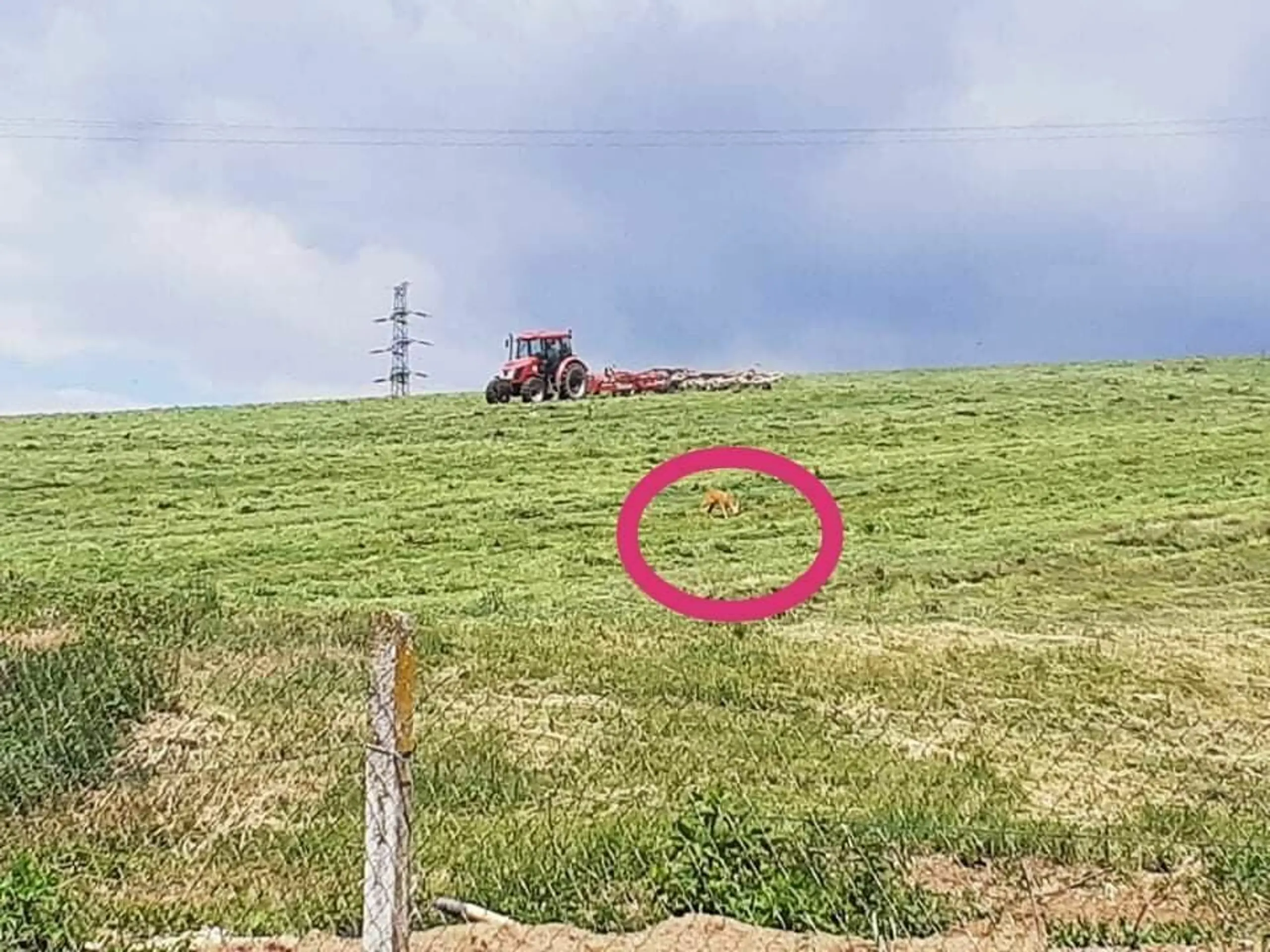 Protestujúci pred SES Tlmače.