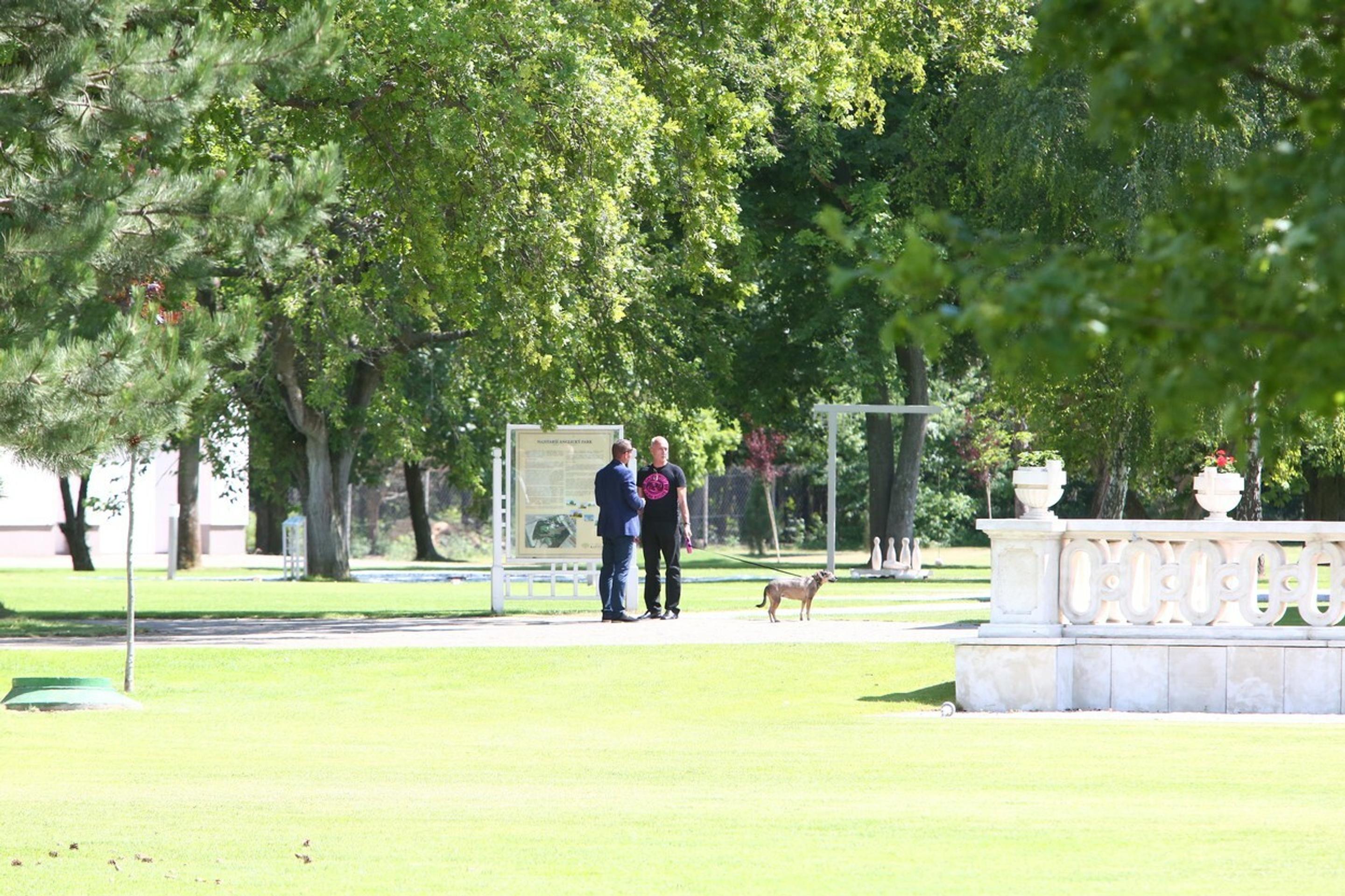 Otec nevesty a fenka Mini.