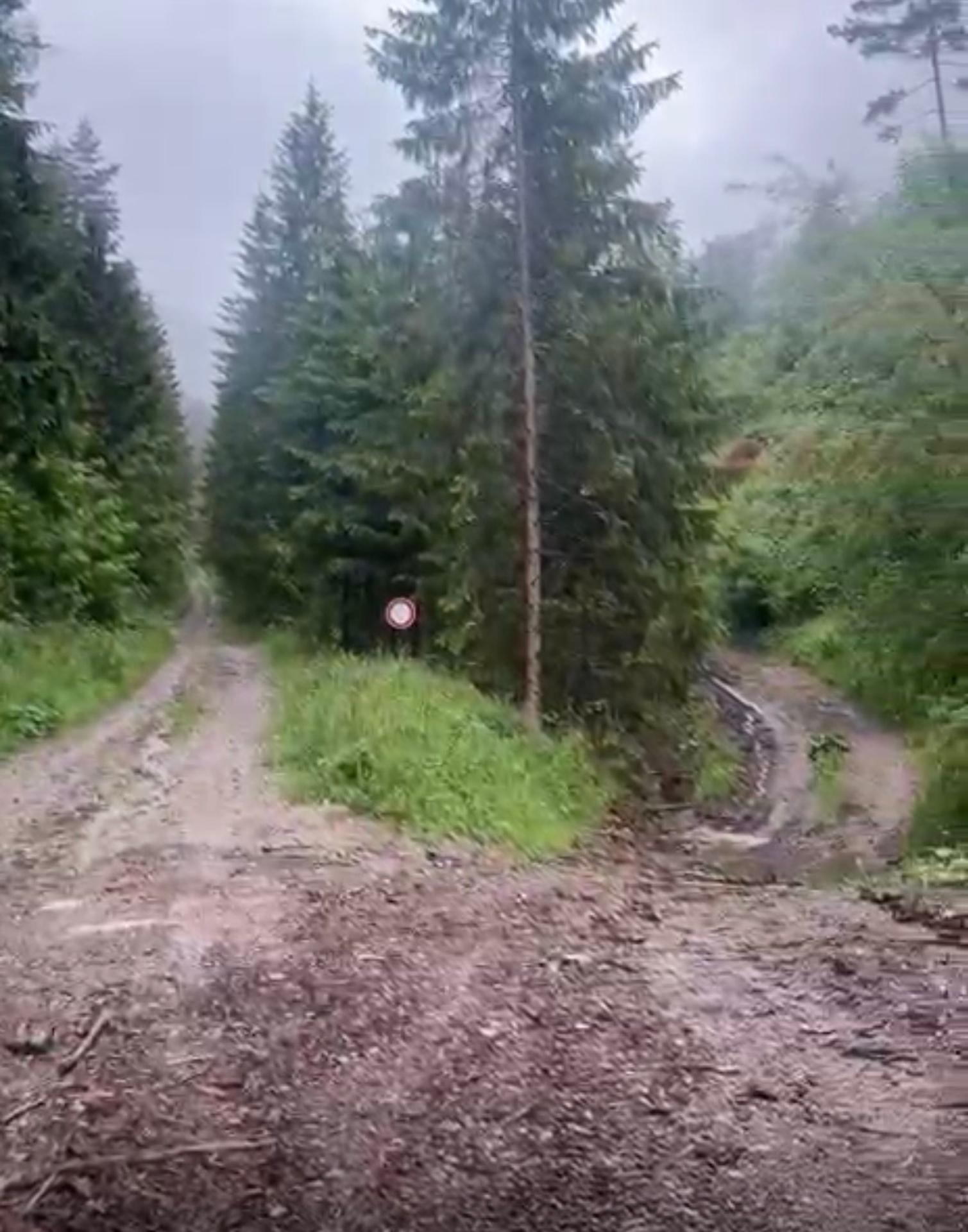 Lokalita, kde došlo k útoku medveďa na lesného pracovníka.