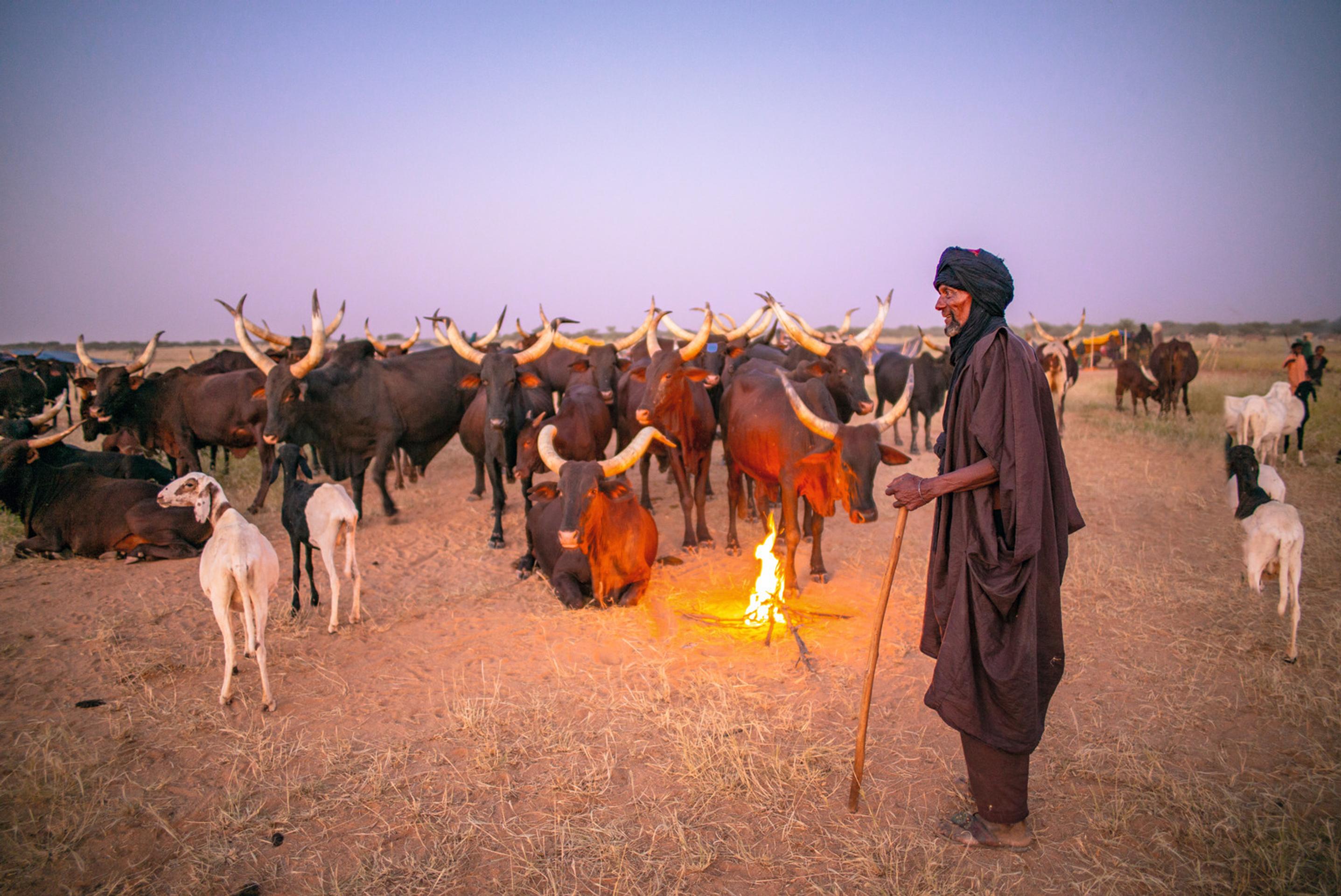 Listy Santovi Clausovi